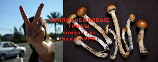 спиды Абдулино