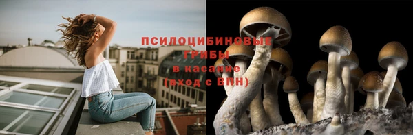 2c-b Абинск