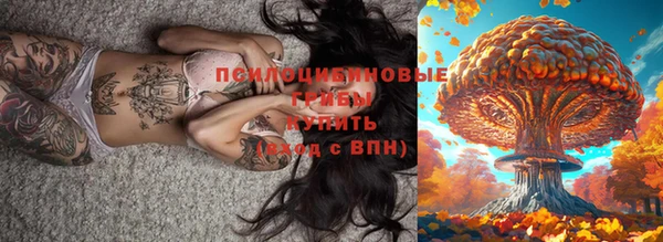 прущая мука Абаза