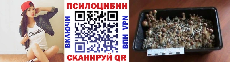 Галлюциногенные грибы мицелий Никольское