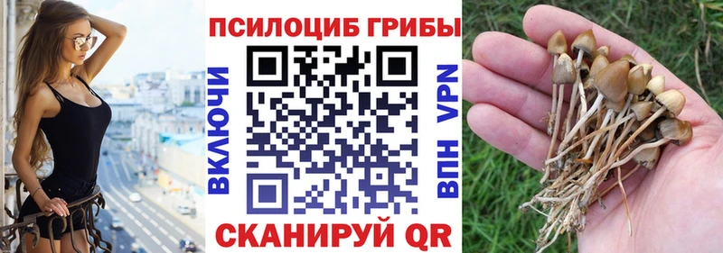 Псилоцибиновые грибы GOLDEN TEACHER  где можно купить наркотик  Никольское 